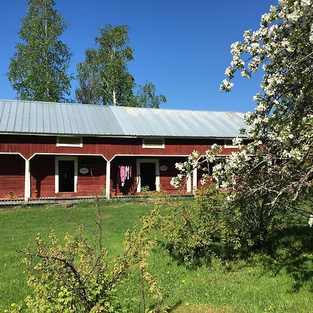 Ylämylly Ollilan Tupa Joensuun Laehellae B&B 외부 사진