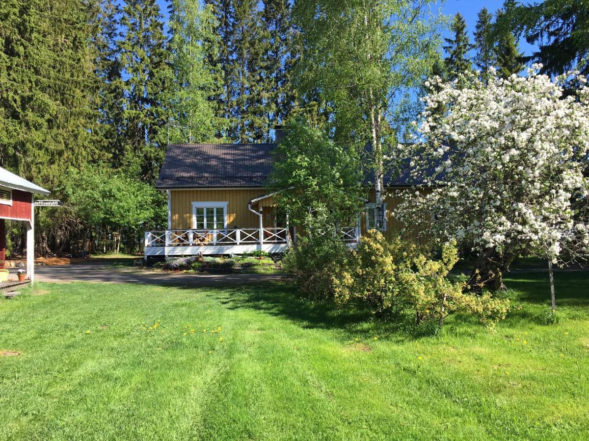 Ylämylly Ollilan Tupa Joensuun Laehellae B&B 외부 사진
