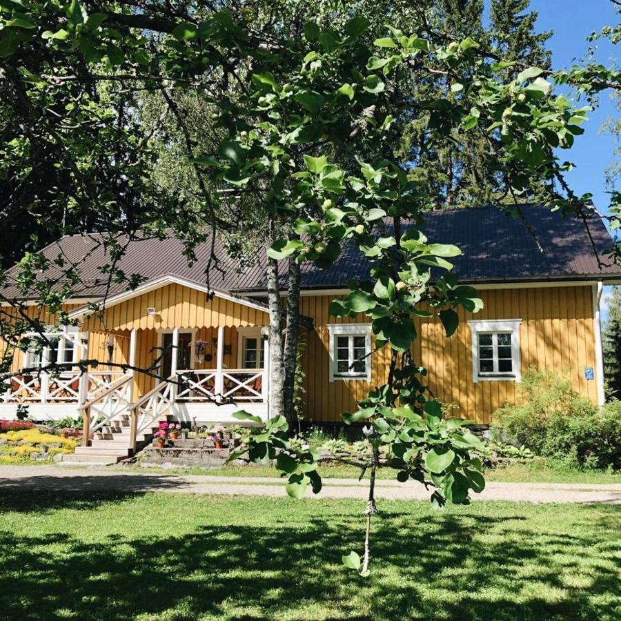 Ylämylly Ollilan Tupa Joensuun Laehellae B&B 외부 사진