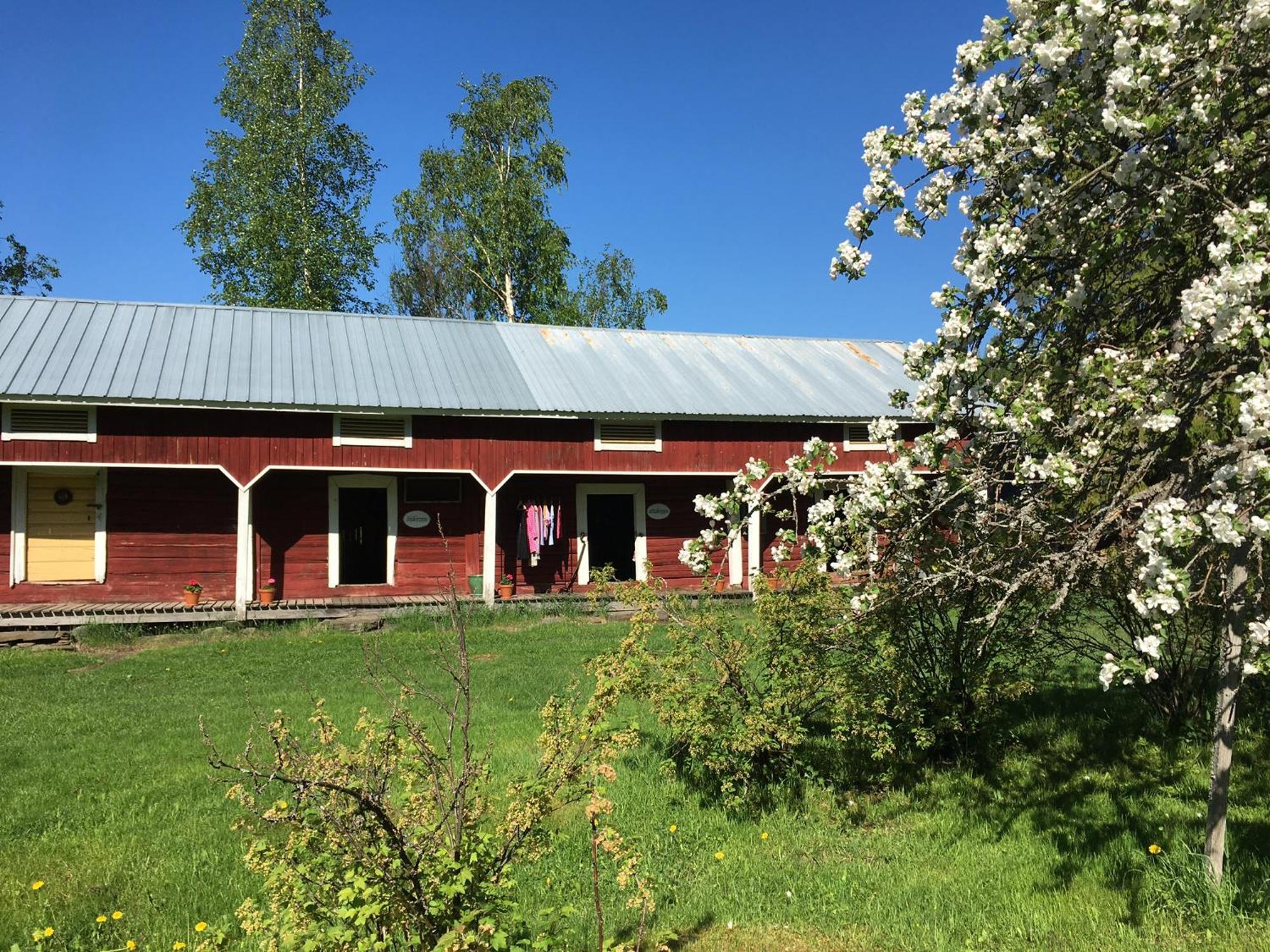 Ylämylly Ollilan Tupa Joensuun Laehellae B&B 외부 사진